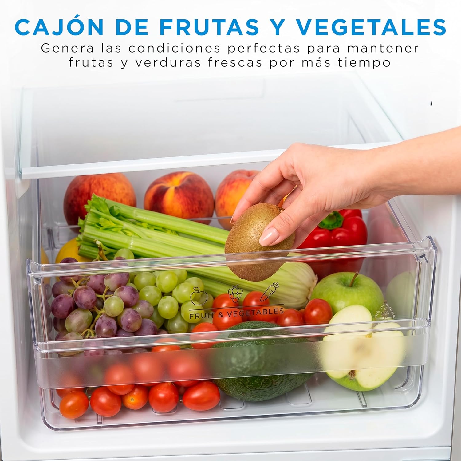 Detalle de Frigorífico Midea de 2 puertas 204 L con congelador Low Frost, 140 cm alto, acero inox