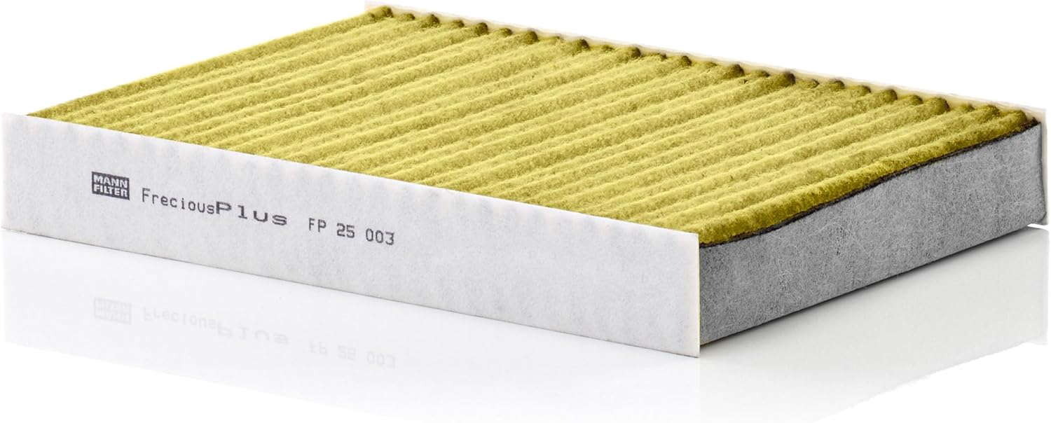 Thumbnail 1 de MANN-FILTER FP 25 003 filtro aria 250x180x35