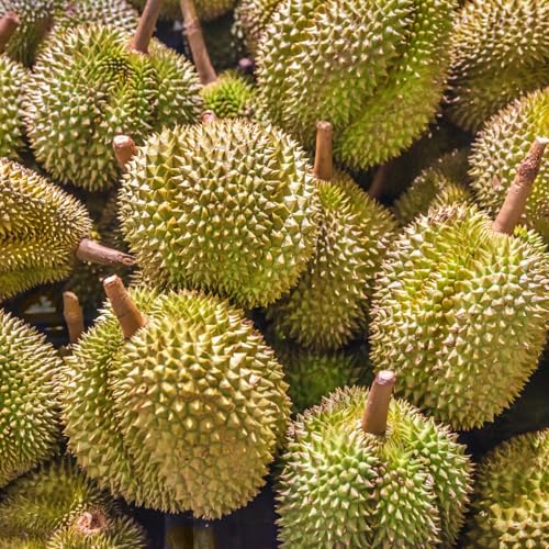 Detalle 2 de SZU SHEN PO Mochi Durian 210 g đ