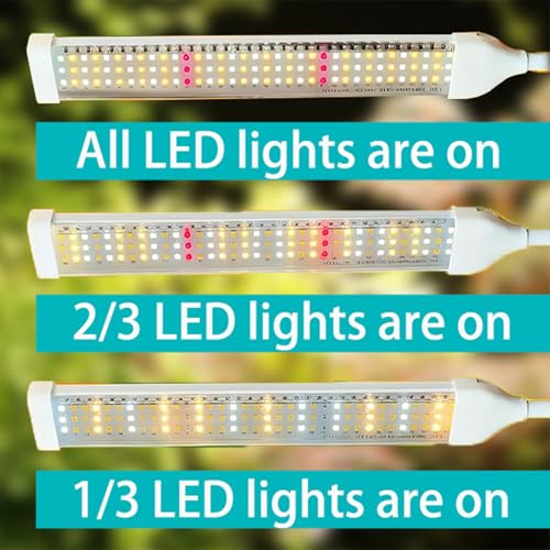 Detalle 2 de Secefeao Stand-1 LED-Pflanzenlampe mit Vollspektrum, Doppelkopf und Timer