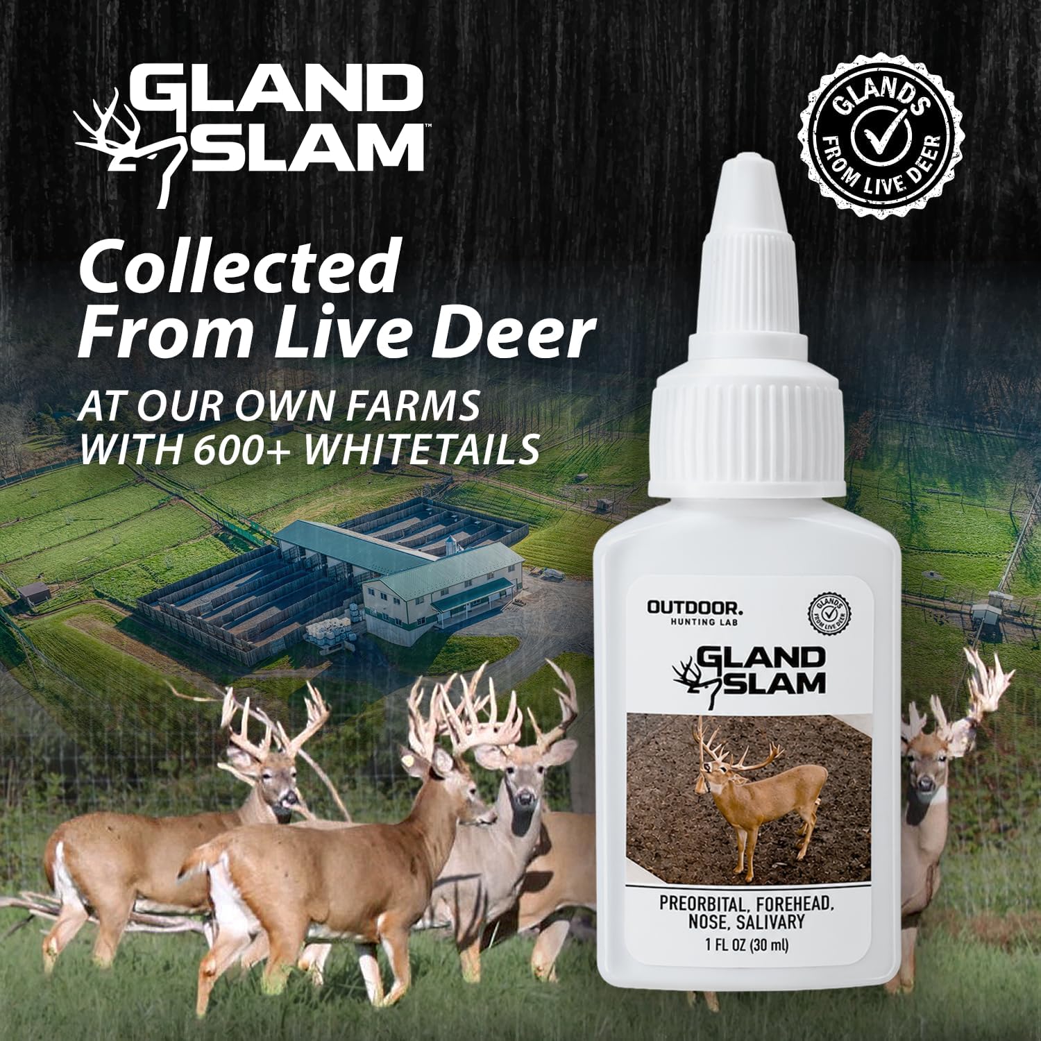 Detalle 2 de Outdoor Hunting Lab Deer Scent, Four-Gland