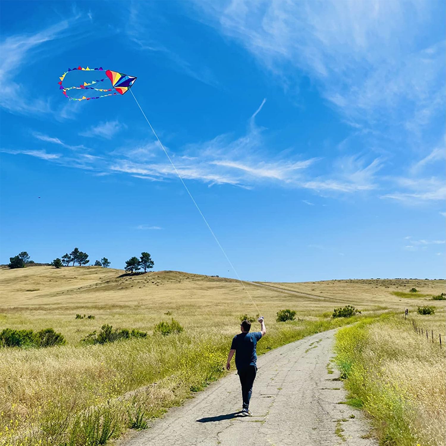 Thumbnail 2 de HONBO Large Delta Kite for Kids & Adults: Easy-to-Fly Beach Kite with Rainbow Tails