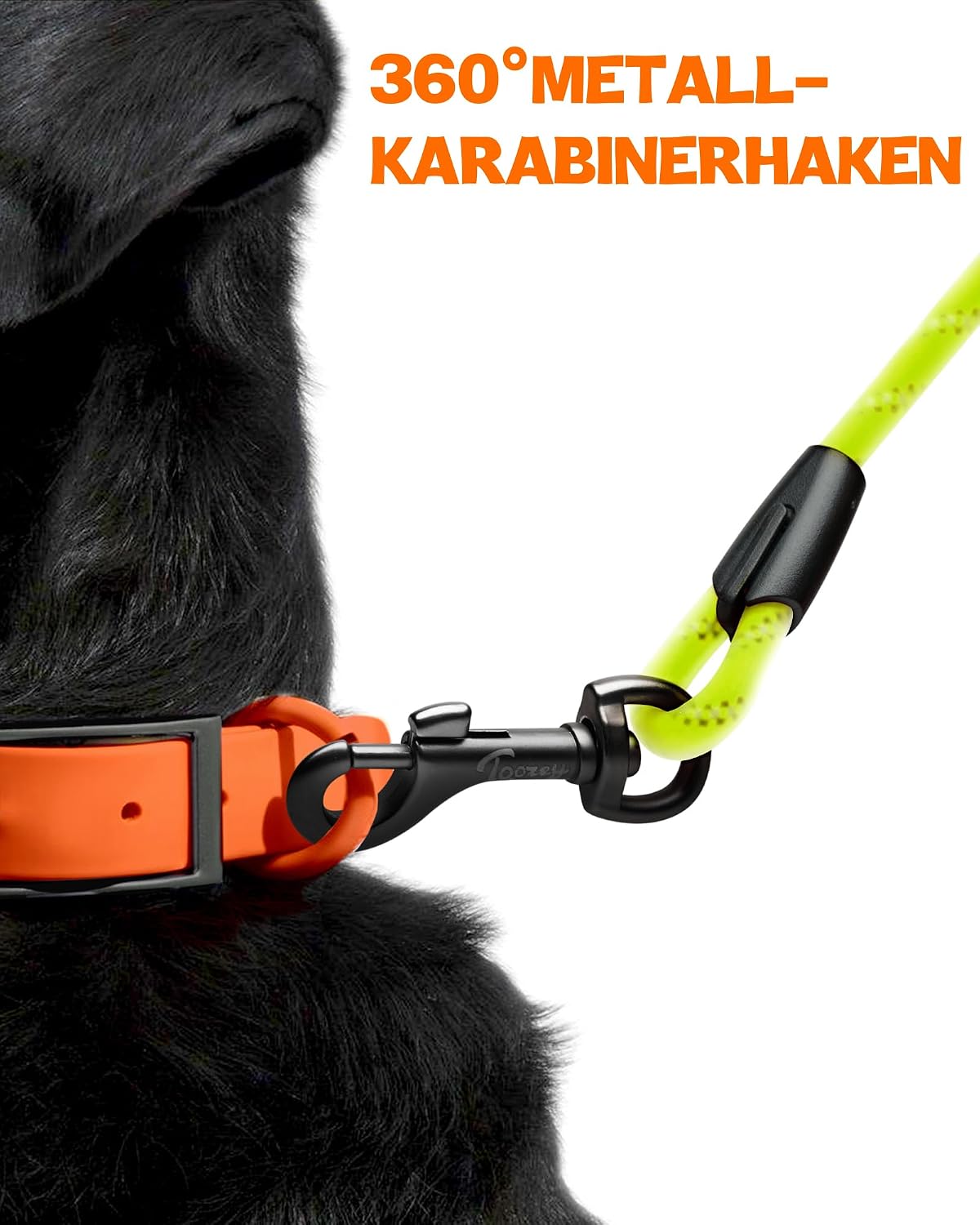 Thumbnail 5 de Toozey Schleppleine 10m für Hunde