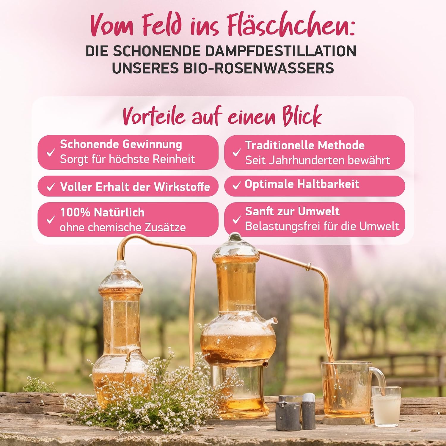 Thumbnail 6 de 100% BIO ROSENWASSER (Rosa Damascena) – natürliches Gesichtswasser zur sanften Reinigung von Gesicht, Körper & Haar