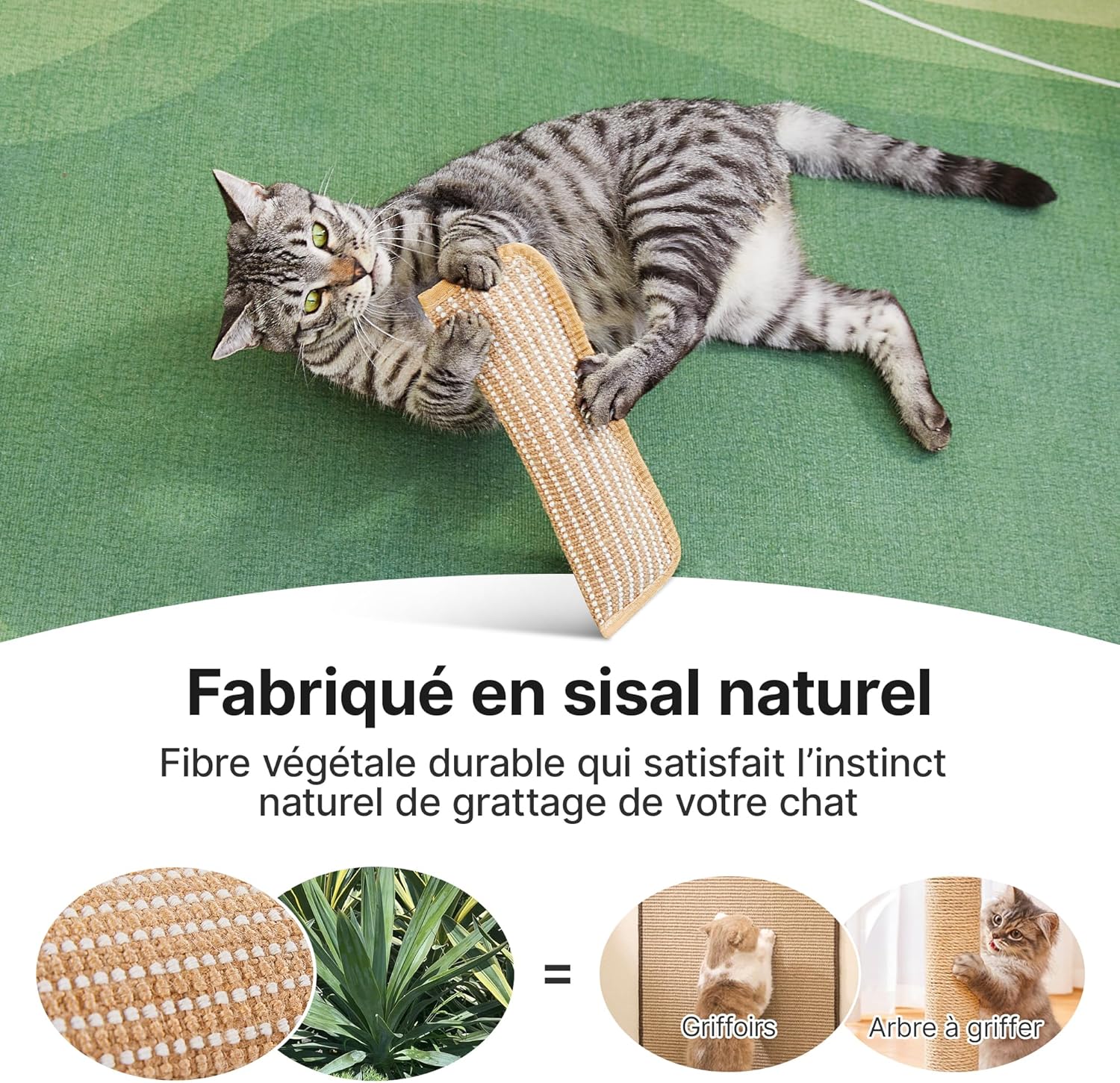 Thumbnail 3 de Lot de 2 jouets Potaroma pour chat avec herbe à chat bio (6000 mg A+) en sisal