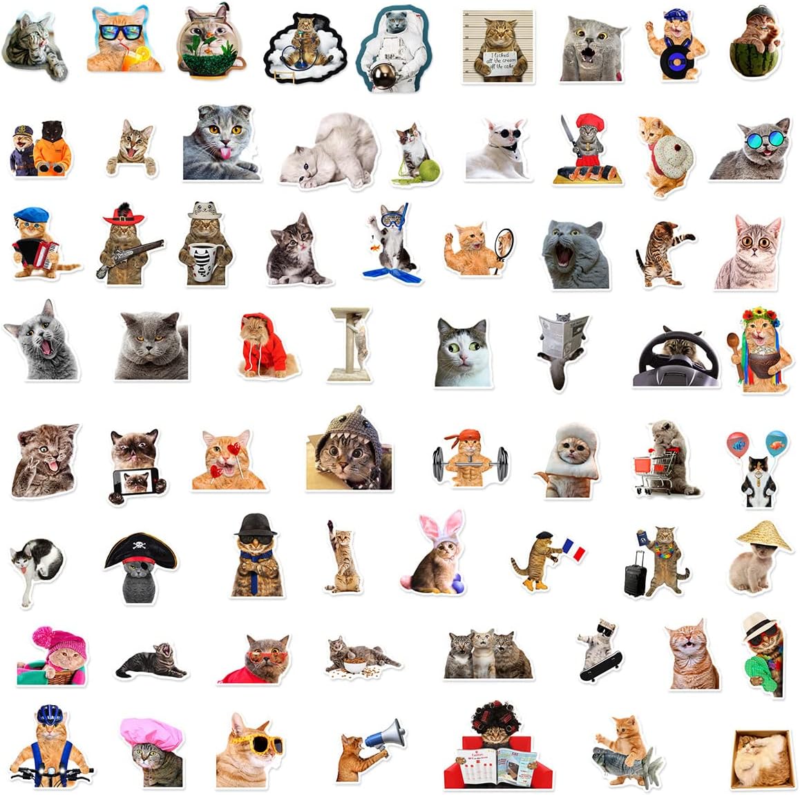 Detalle de Cat stickers, 66-piece set