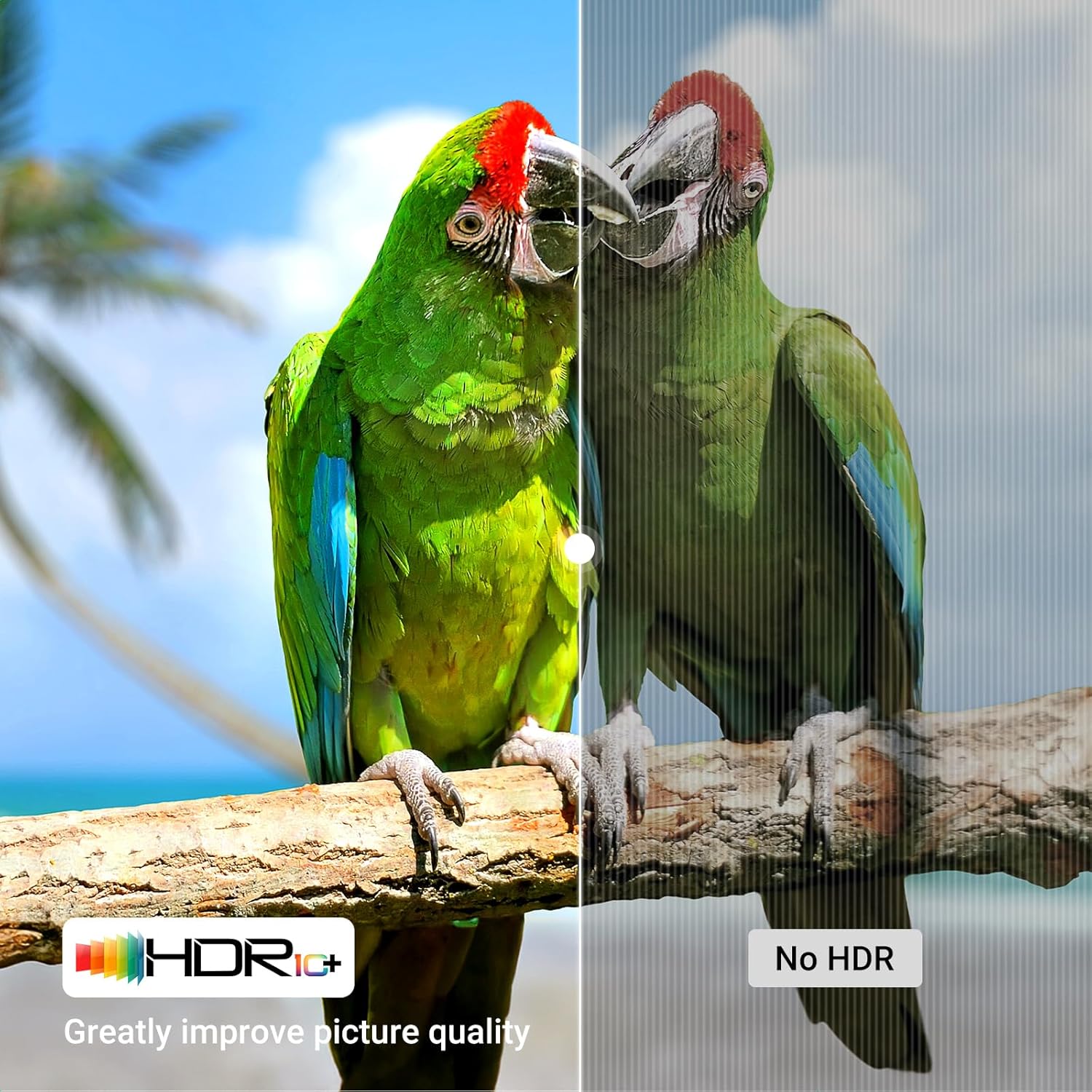 Thumbnail 3 de UGREEN HDMI 2.1 Cable 48Gbps 1M