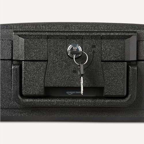 Detalle 2 de Amazon Basics Caja Fuerte Ignífuga 6,2 L 🔐