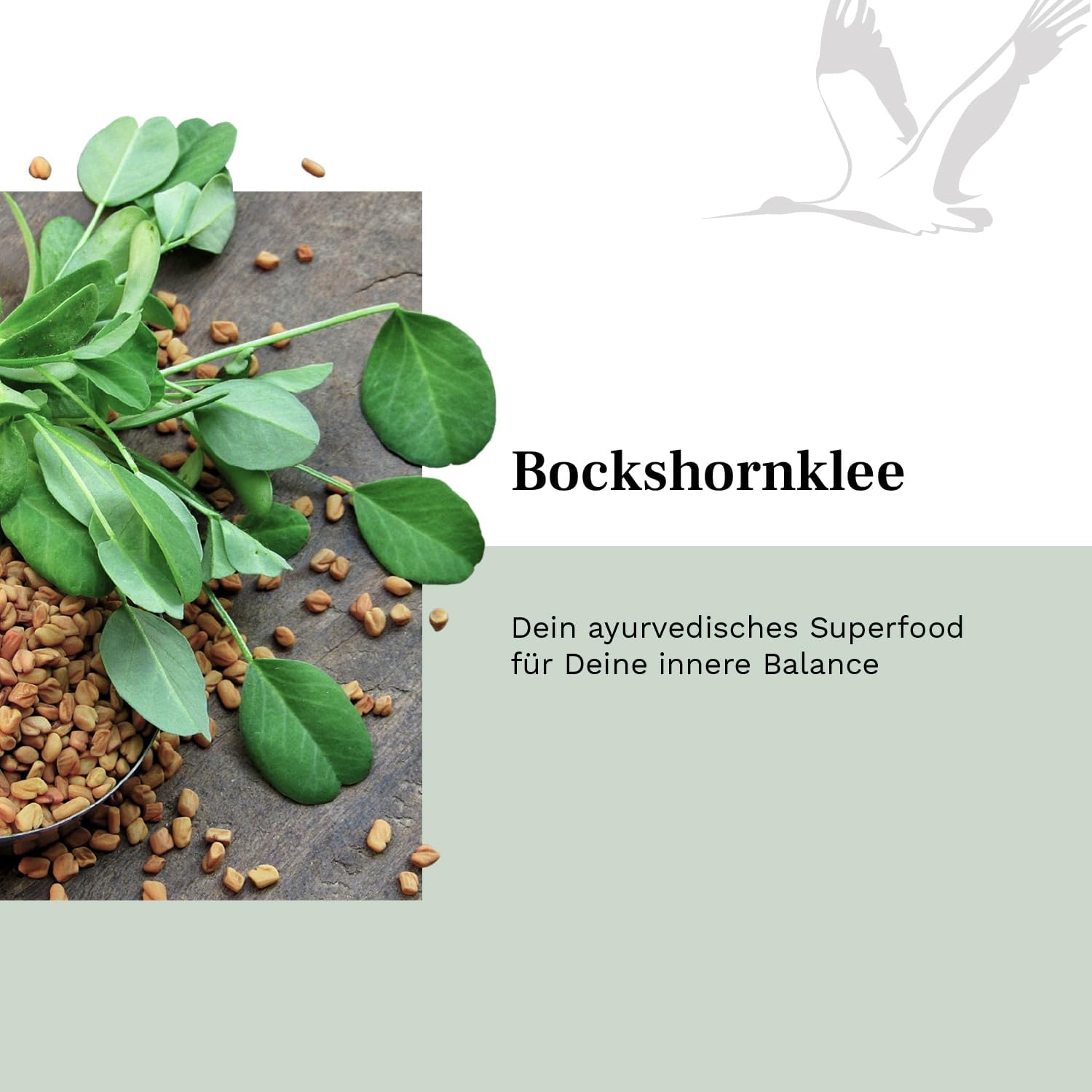 Detalle de Bockshornklee Kapseln Balance Vitality – 2400 mg/Tag, 240 vegane Kapseln