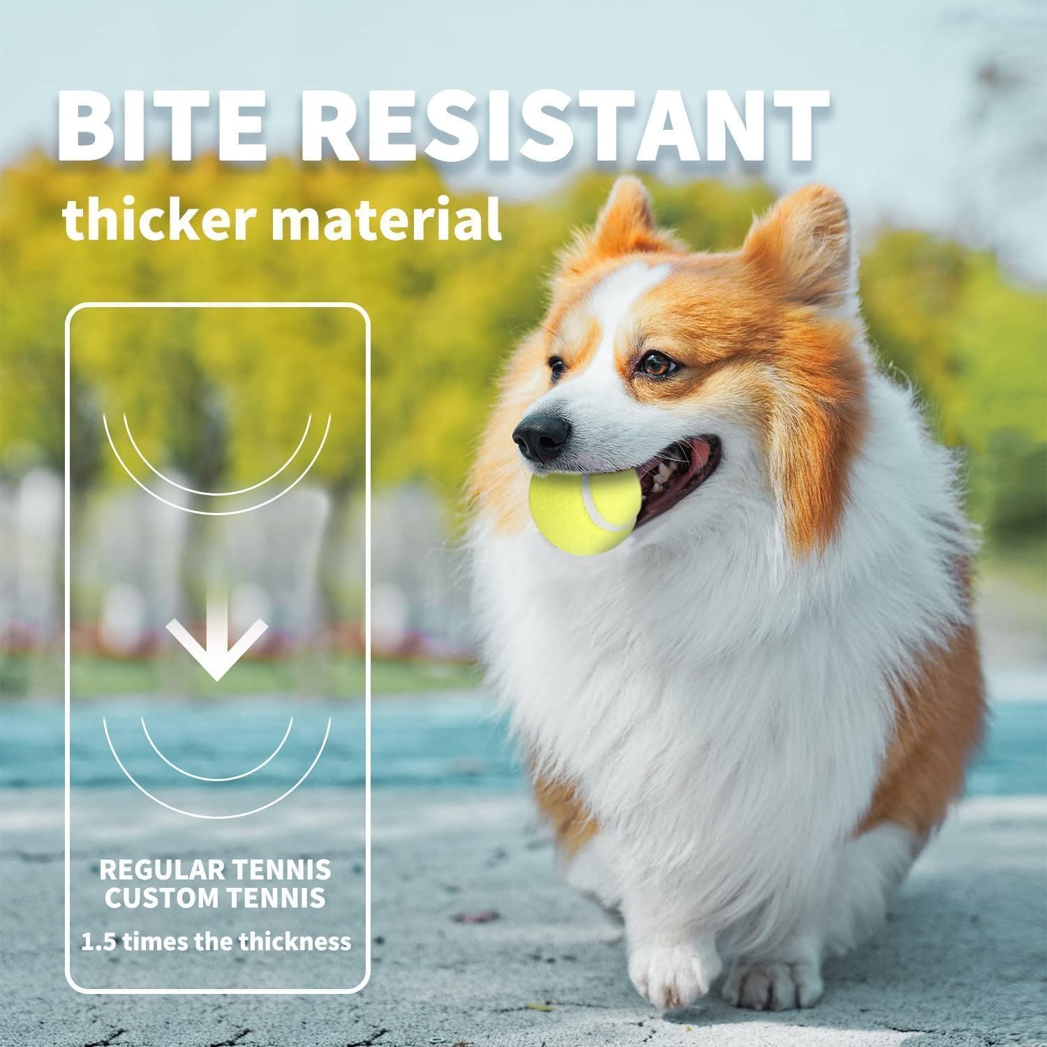 Detalle de ALL FOR PAWS Interactive Hyper Fetch Super Bounce Tennis Balls – Mini 6 Pack