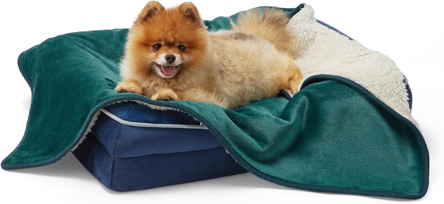 Detalle de LE SURE wasserdichte Hundedecke für kleine Hunde (80x60 cm) – wendbar, waschbar, Sherpa-Fleece Outdoor, Dunkelgrün