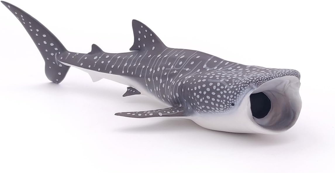 Thumbnail 6 de Papo - Figurine Requin Baleine Réaliste Jouet Enfant 3 Ans+ | Univers Marin