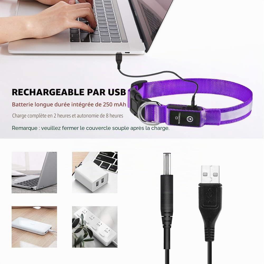 Detalle de MASBRILL Collier Lumineux pour Chien – Rechargeable, Étanche et Réglable (3 Modes, Violet, S)