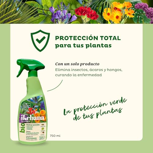 Detalle 2 de Ikebana Triple Acción BIO 24h 🌱