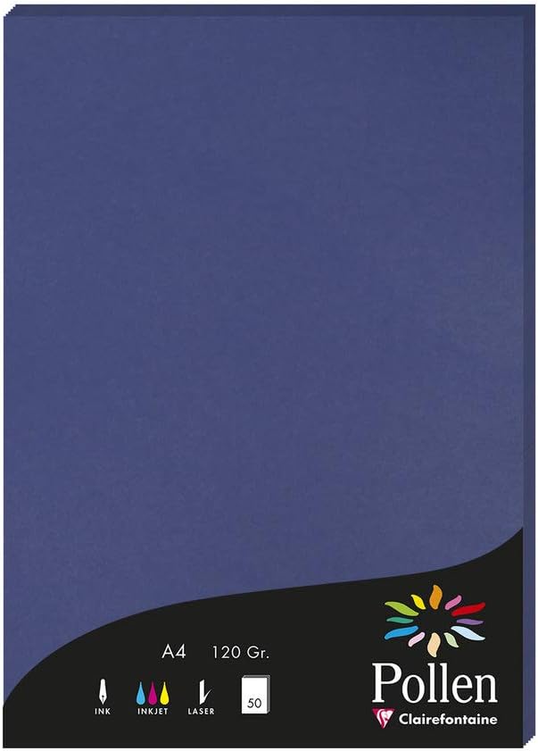 Detalle de Clairefontaine 4199C Silver Iridescent Pollen Paper Wallet (A4, 50 sheets)