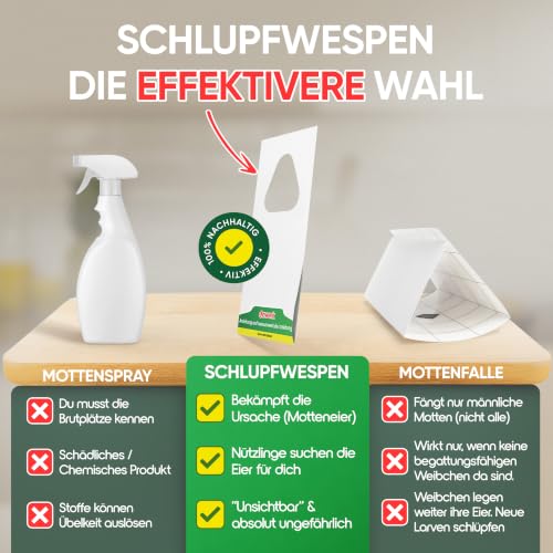 Detalle de anwerk Schlupfwespen gegen Kleidermotten – 12 Karten, 1 Lieferung