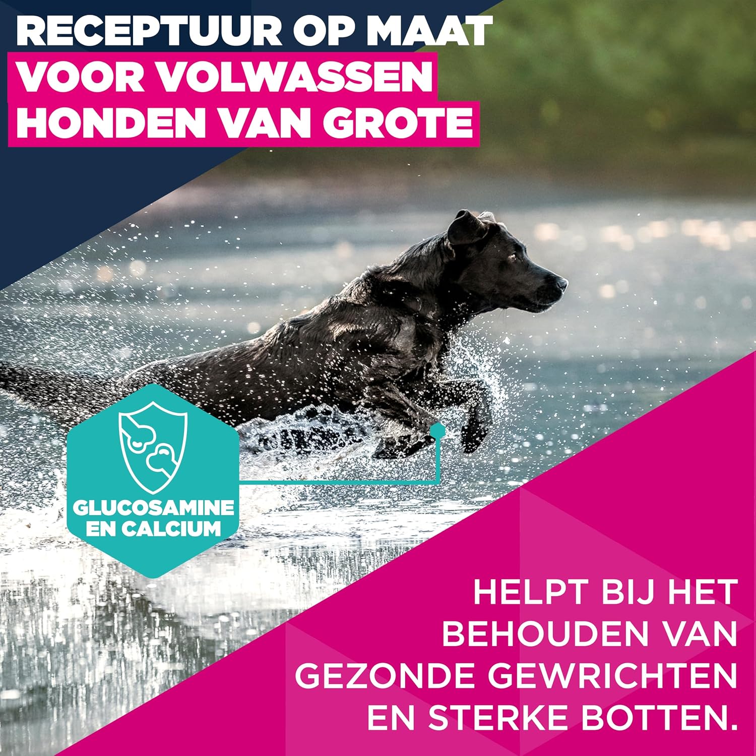 Detalle de Eukanuba droog hondenvoer voor volwassen grote rassen met verse kip, 3 kg