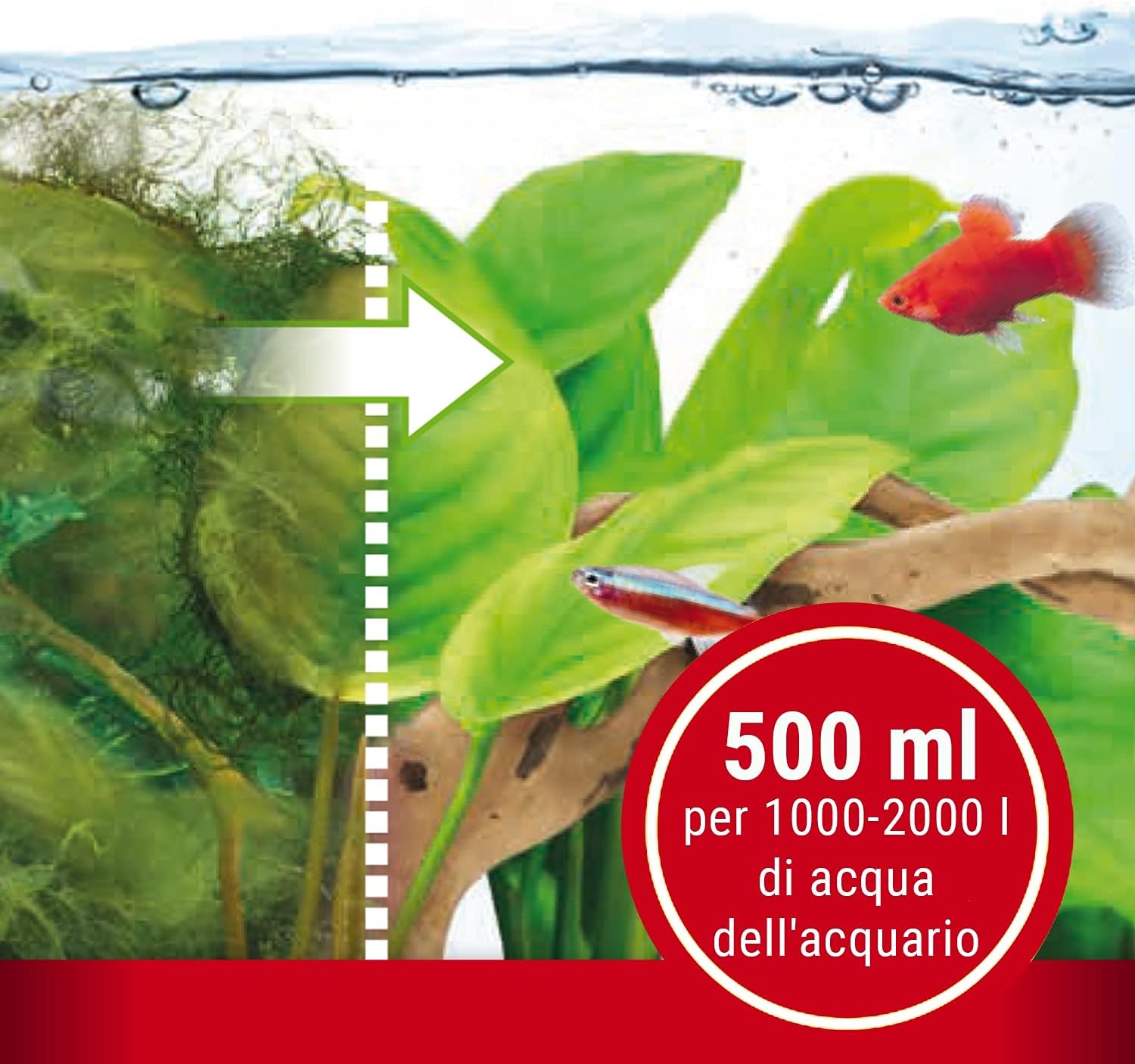 Detalle de Tetra AlguMin 500 ml: controllo rapido delle alghe in acquari d’acqua dolce