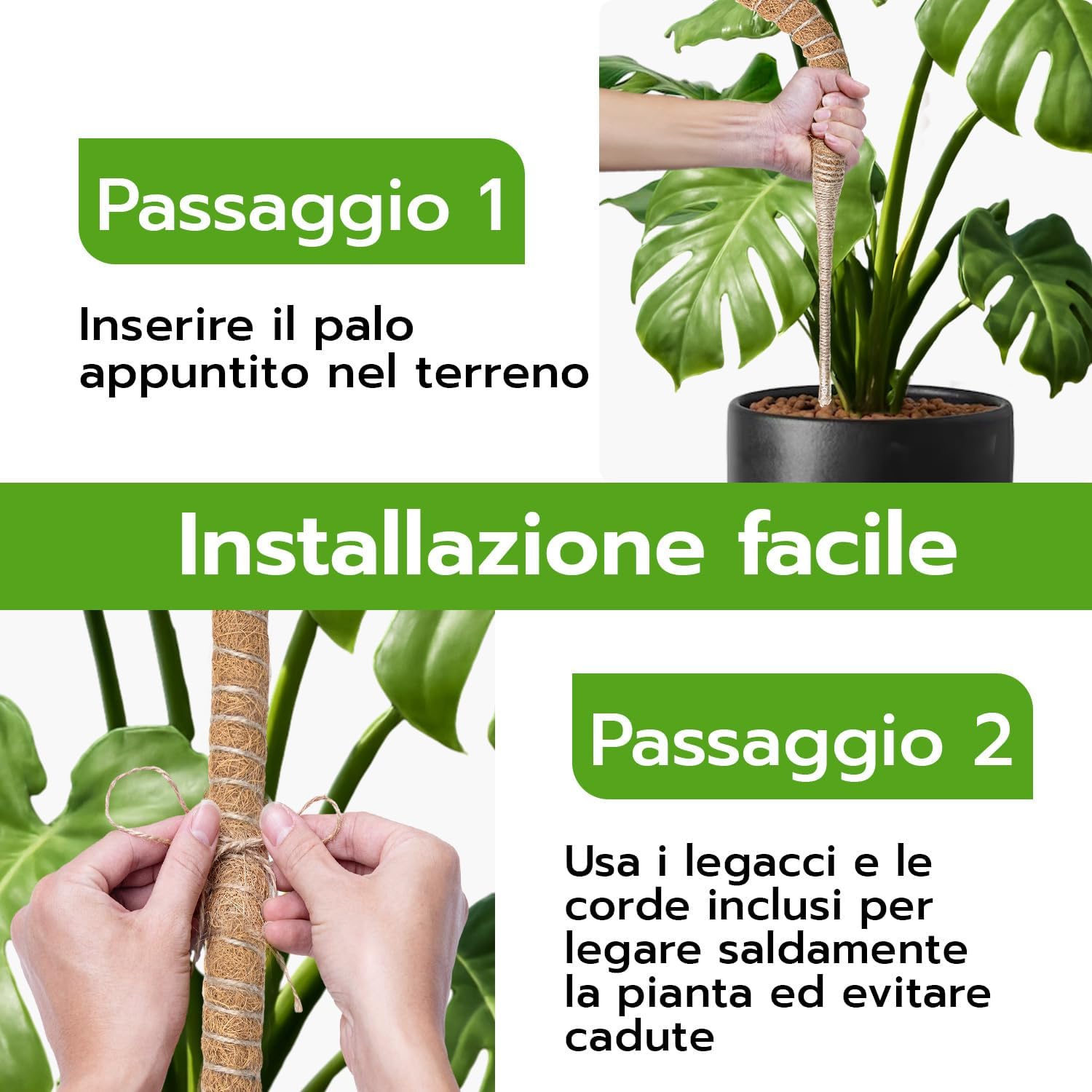Detalle 2 de Wigearss Bastone di Muschio 100 cm per piante