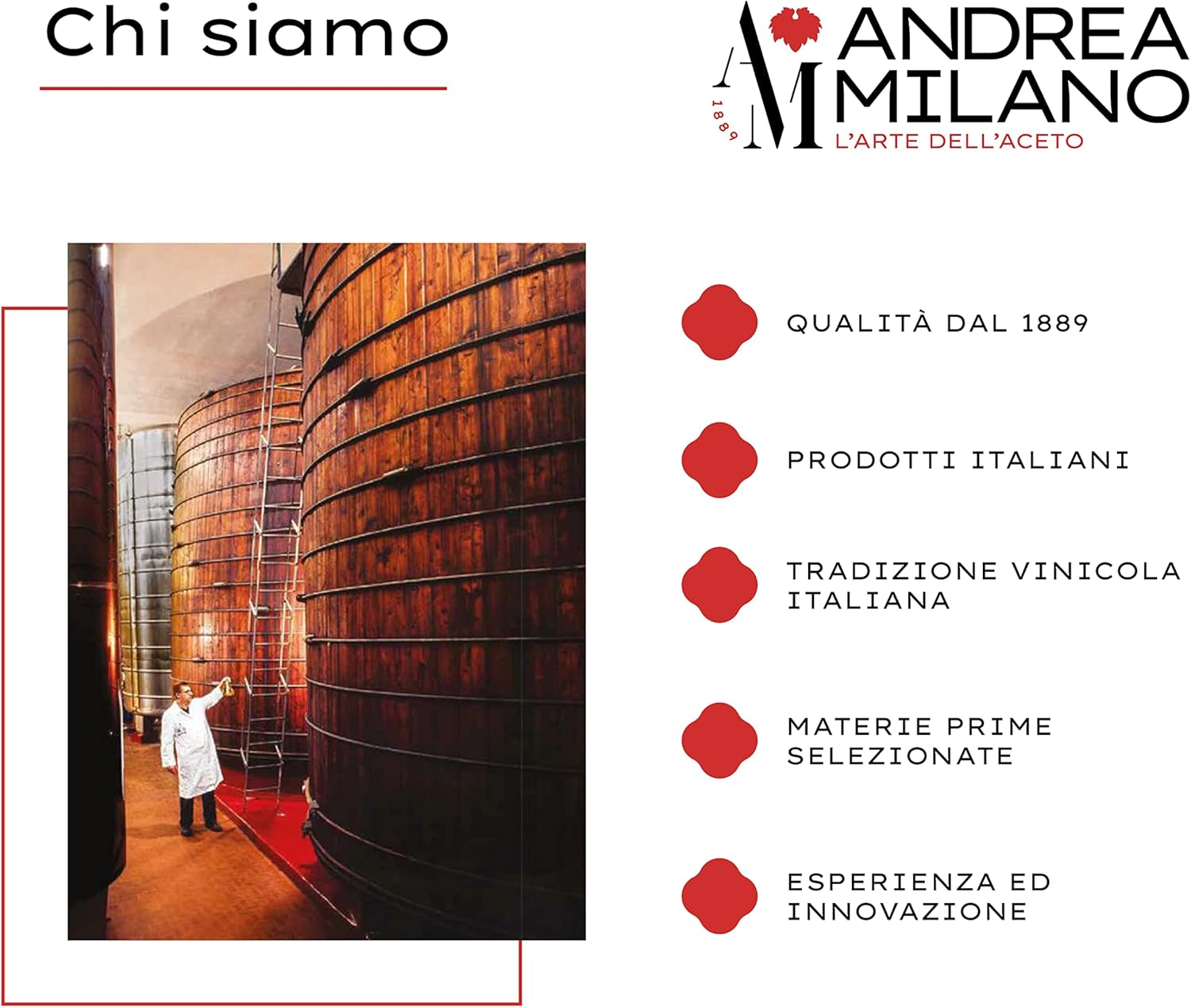 Detalle de Andrea Milano Splendi Aceto: Aceto di Alcool 100% Naturale aromatizzato alla mela, 12 bottiglie da 1 L