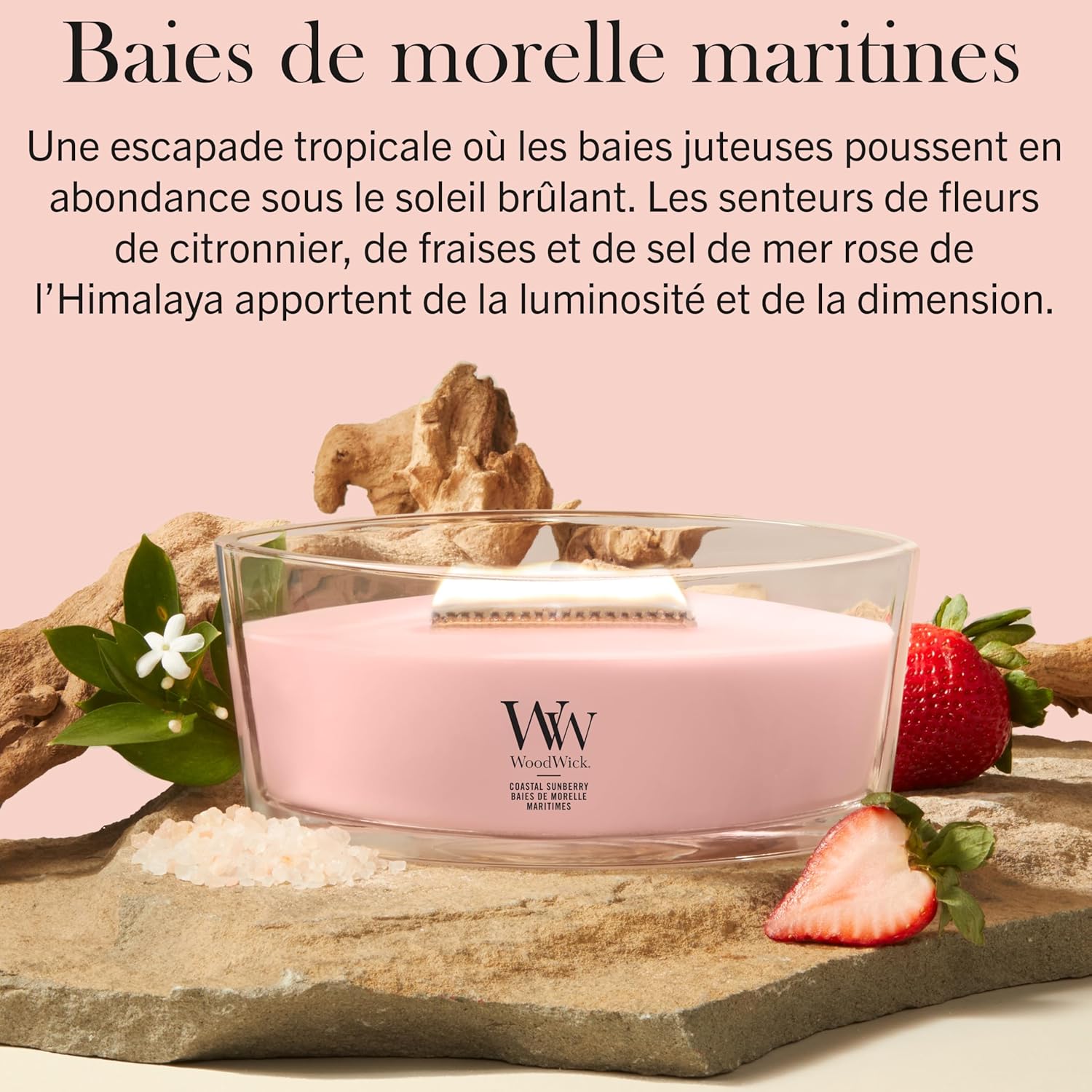 Detalle de WoodWick Bougie parfumée Ellipse – Baies de mor maritimes, édition cadeau pour femmes