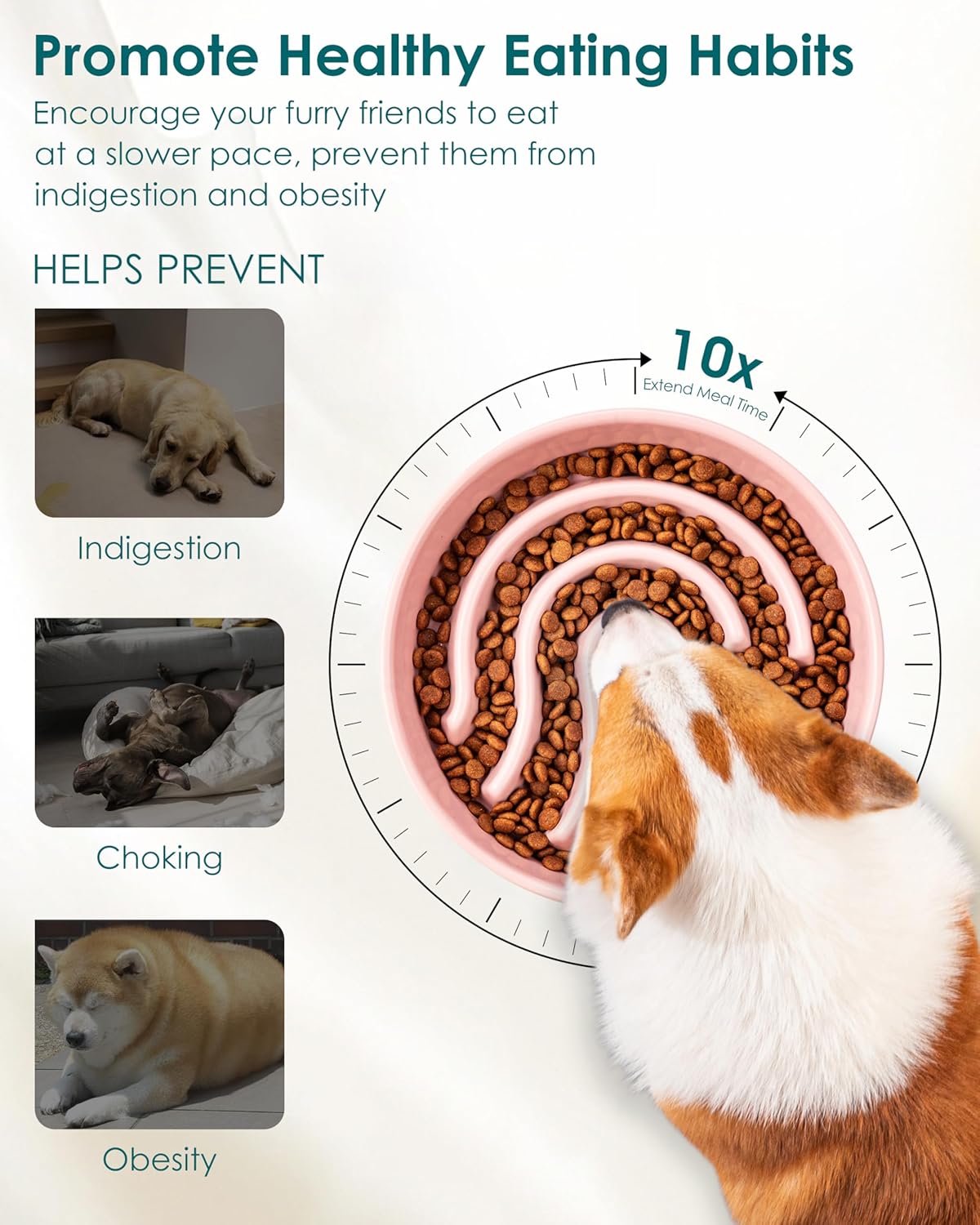 Thumbnail 2 de Vancasso Slow Feeder Ceramic Bowl for Small Pets (1.5 Cup) – Pink