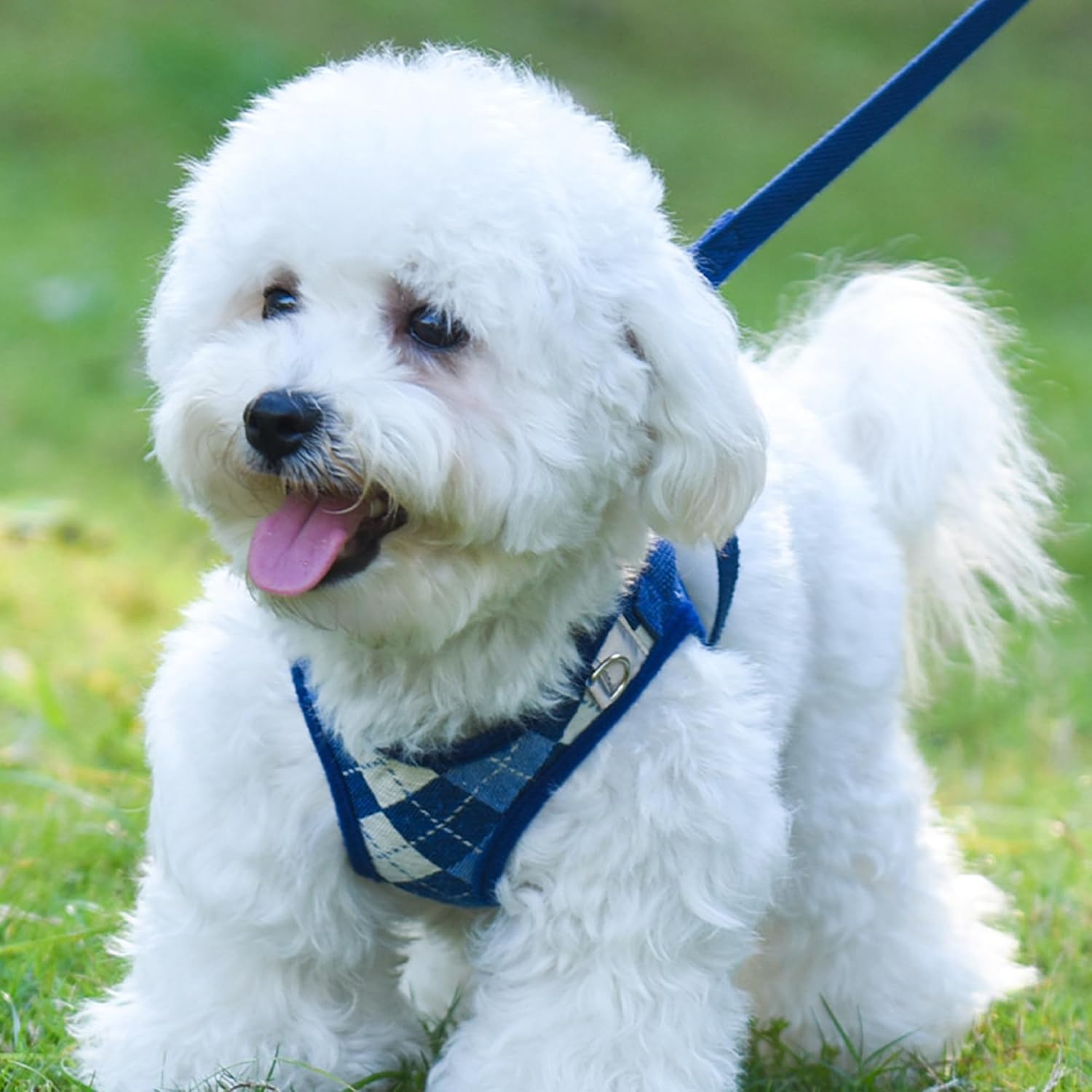 Detalle de PawSailor Step-in Dog Harness Small Dog No Pull – Reflective Plaid, Lightweight & Easy Walk