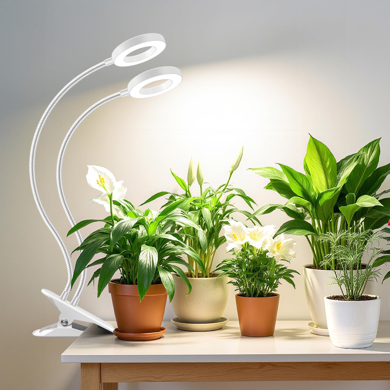 Detalle de Wiaxulay BL-B20E Clip-On Grow Light, 3.5-Inch Full-Spectrum Halo