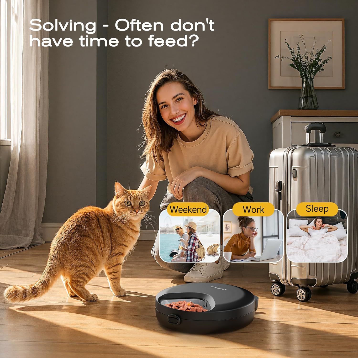 Thumbnail 6 de Futterautomat für Katzen mit Timer und Kühlung 🐱