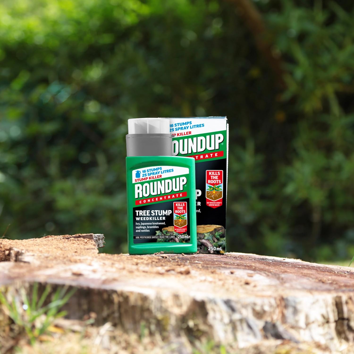 Thumbnail 2 de Roundup Tree Stump Weedkiller, Super Concentrate 250 ml — practical stump and deep-rooted weed control