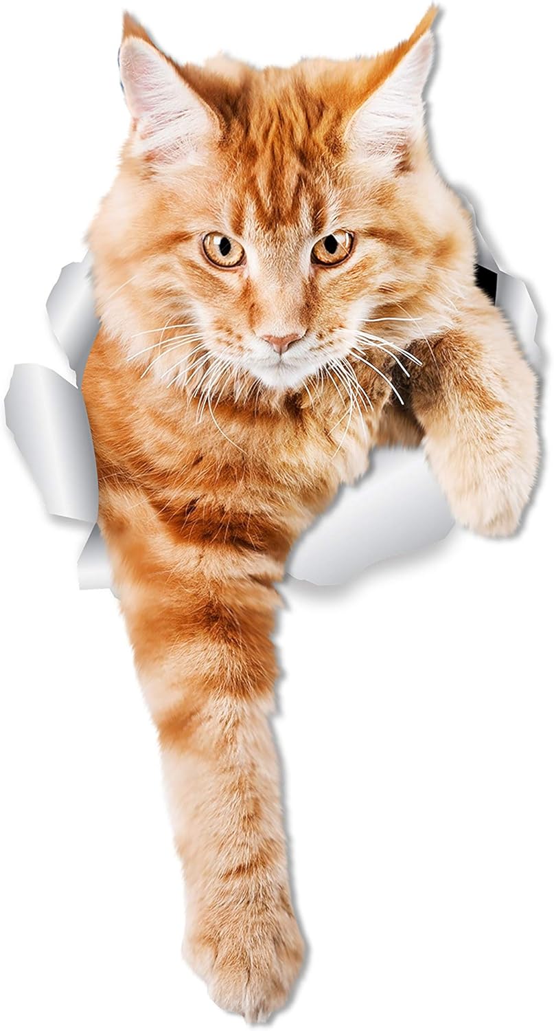 Thumbnail 6 de Ginger Cat Wall Decals - 2 Pack (Orange) by Winston & Bear Gifts