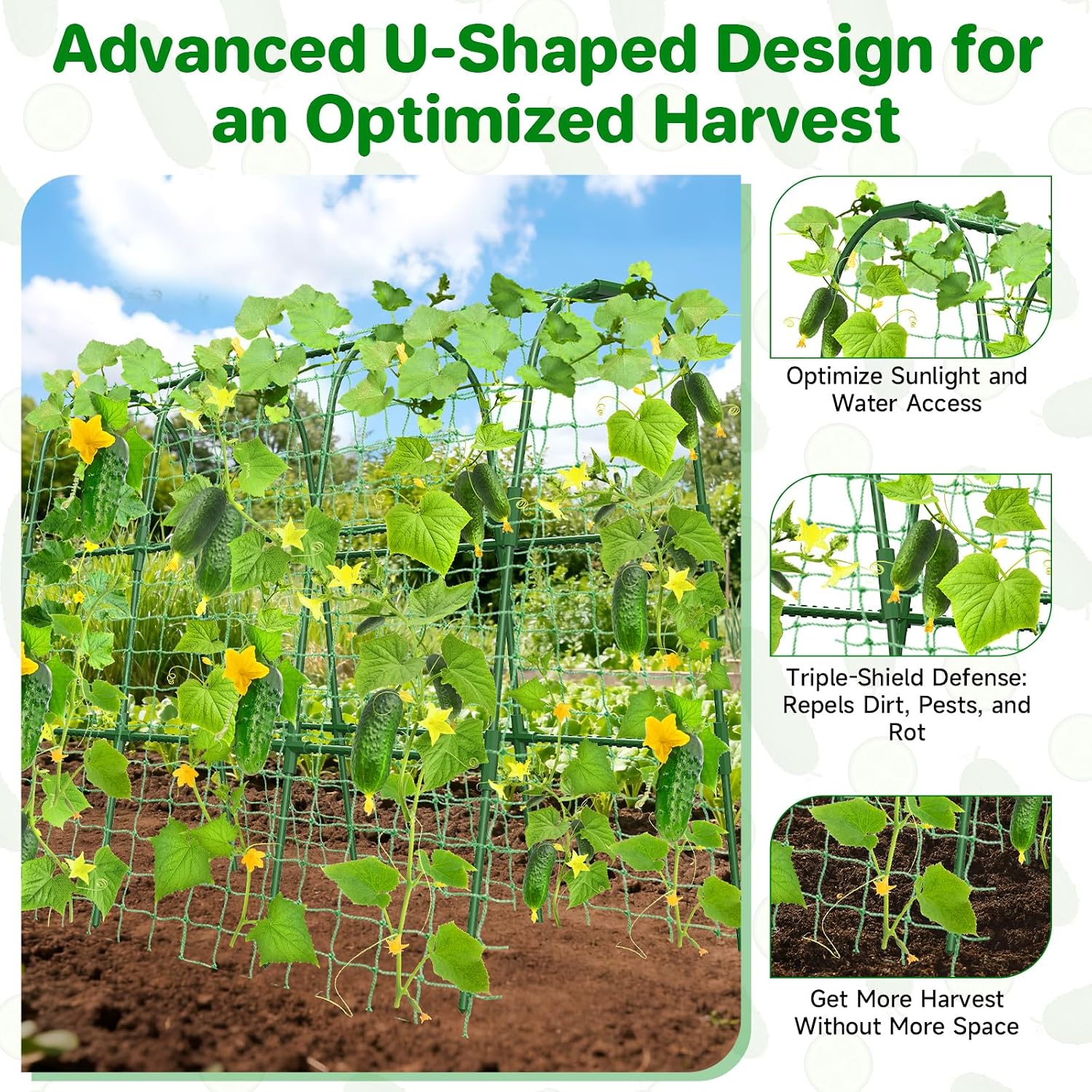 Detalle 2 de MYMULIKE Cucumber Trellis 120 x 120