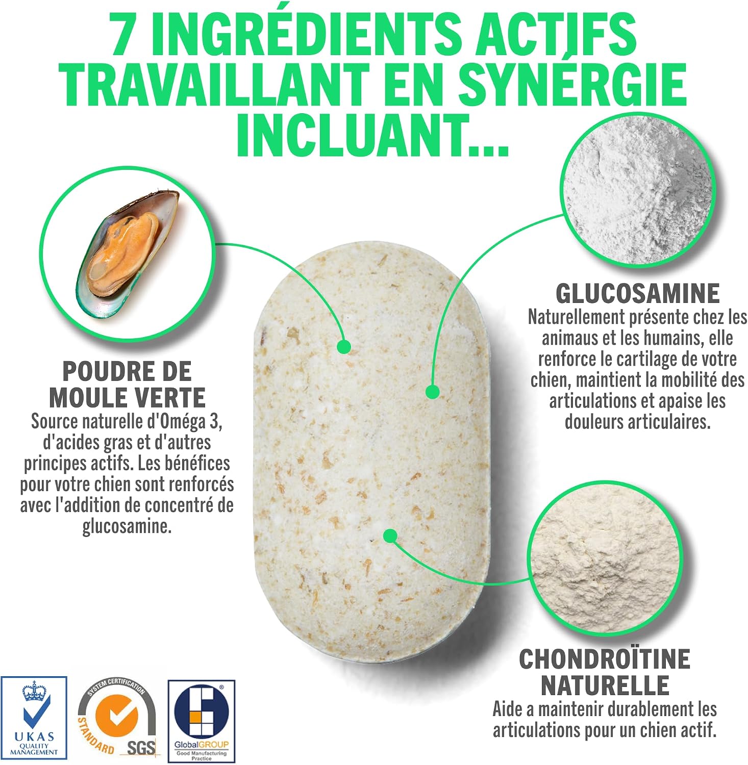 Detalle de JOINTSURE Compléments d'articulation pour chiens – Moule verte, glucosamine et chondroïtine, 120 comprimés