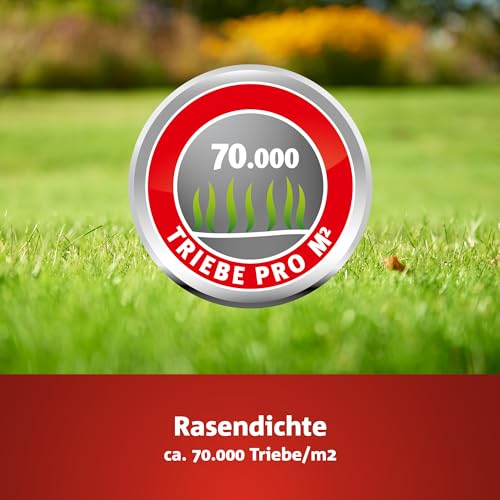 Detalle de WOLF-Garten Turbo-Nachsaat zur Rasensanierung LR250 (5 kg Beutel, für 250 m2)