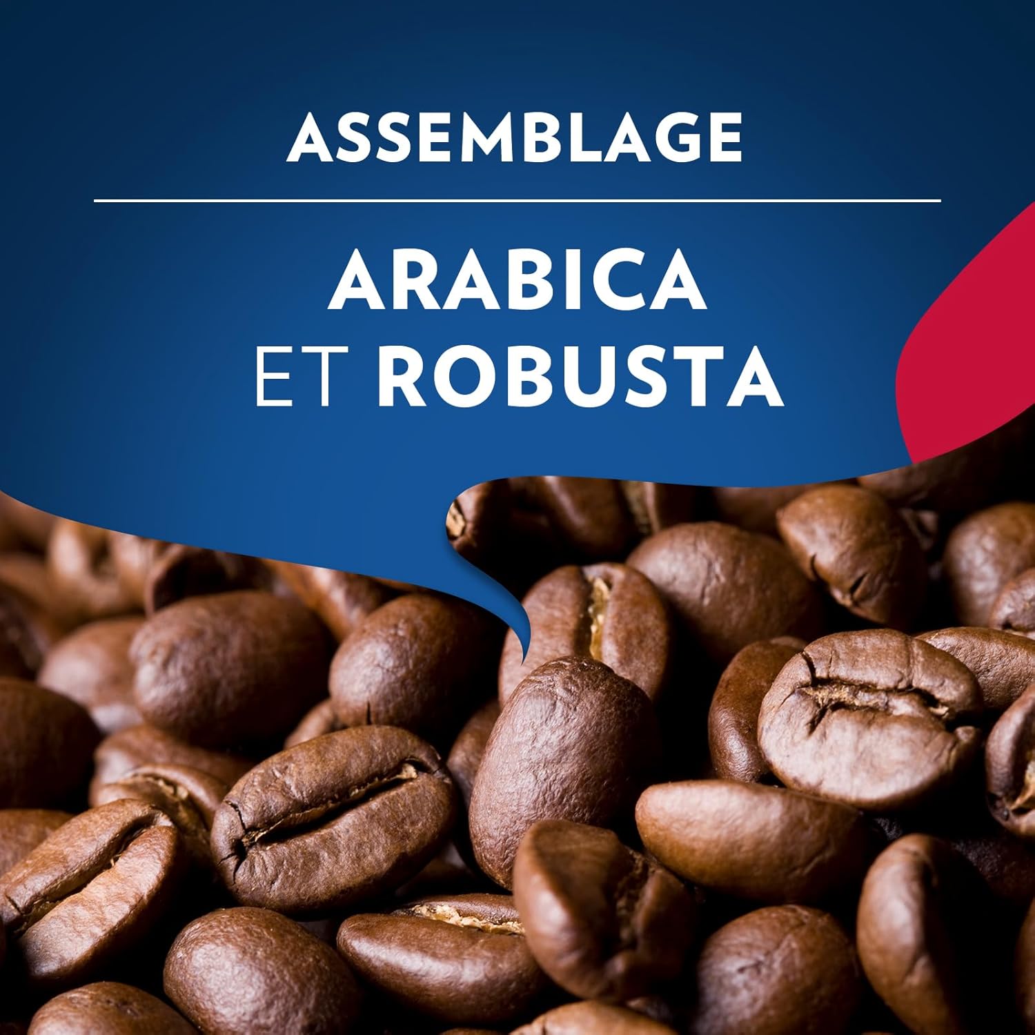 Thumbnail 5 de Lavazza Vivace Café Moulu 2 x 250 g – Arabica et Robusta, intensité forte (9/10) – Torréfaction foncée