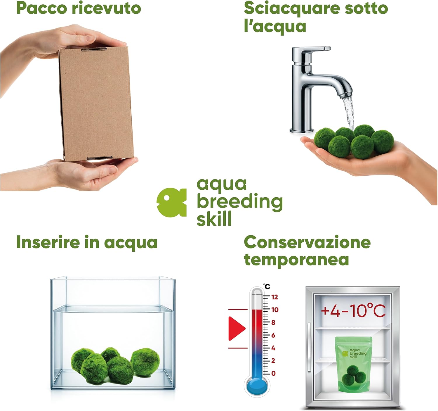 Detalle de AquaBreedingSkill Set di 3 Marimo vivi 4–5 cm: piante vere per acquario dolce
