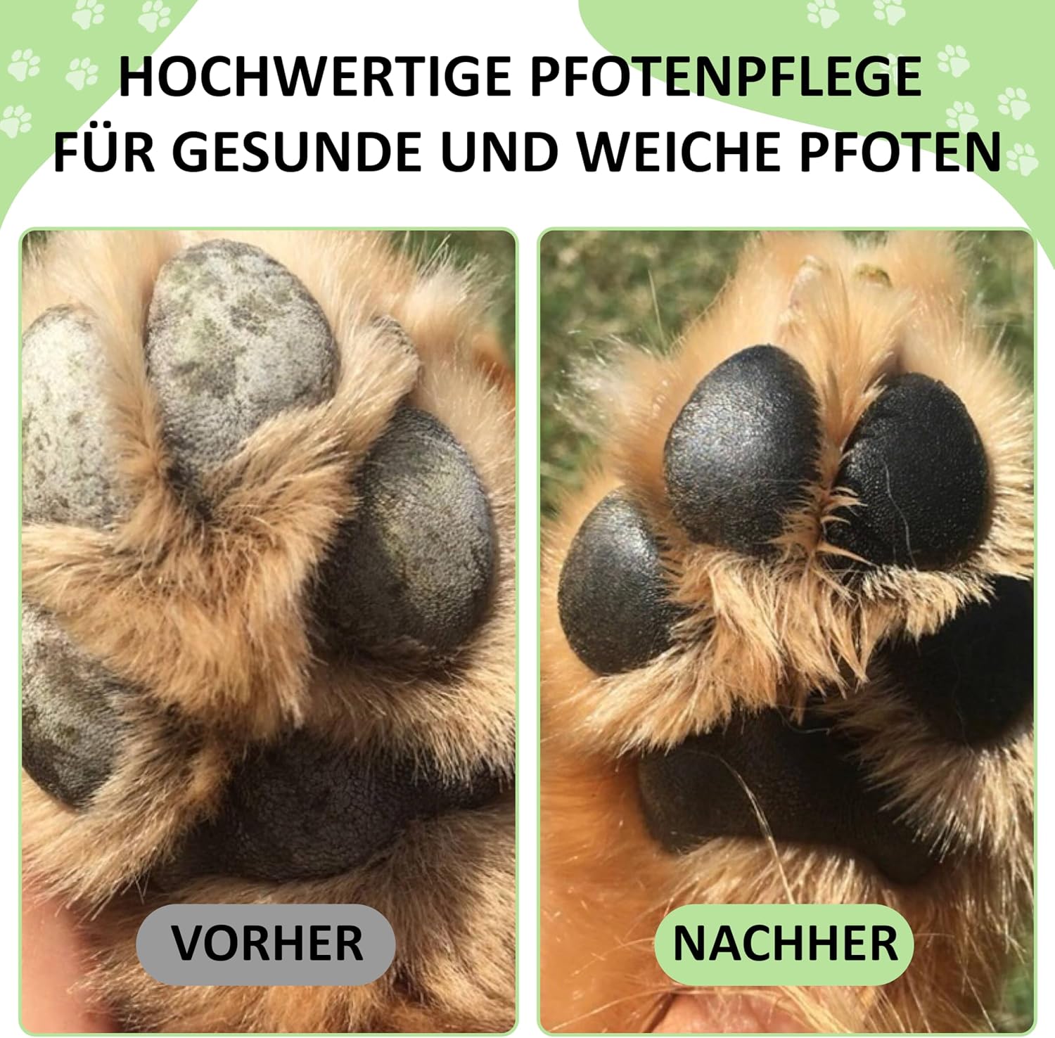 Thumbnail 4 de Golden Pets Pfotenbalsam Stick 100% natürlich 🐾