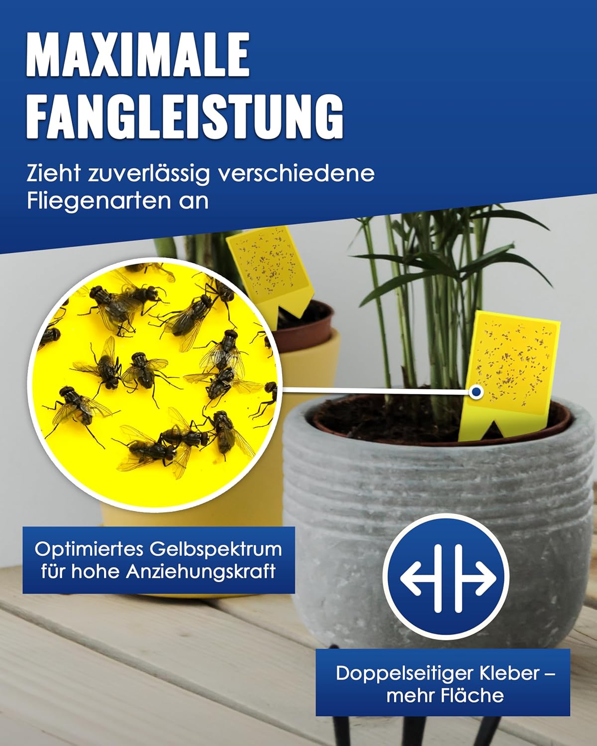 Thumbnail 2 de PIC Gelbsticker 60x Gelbtafeln gegen Trauermücken 🪰