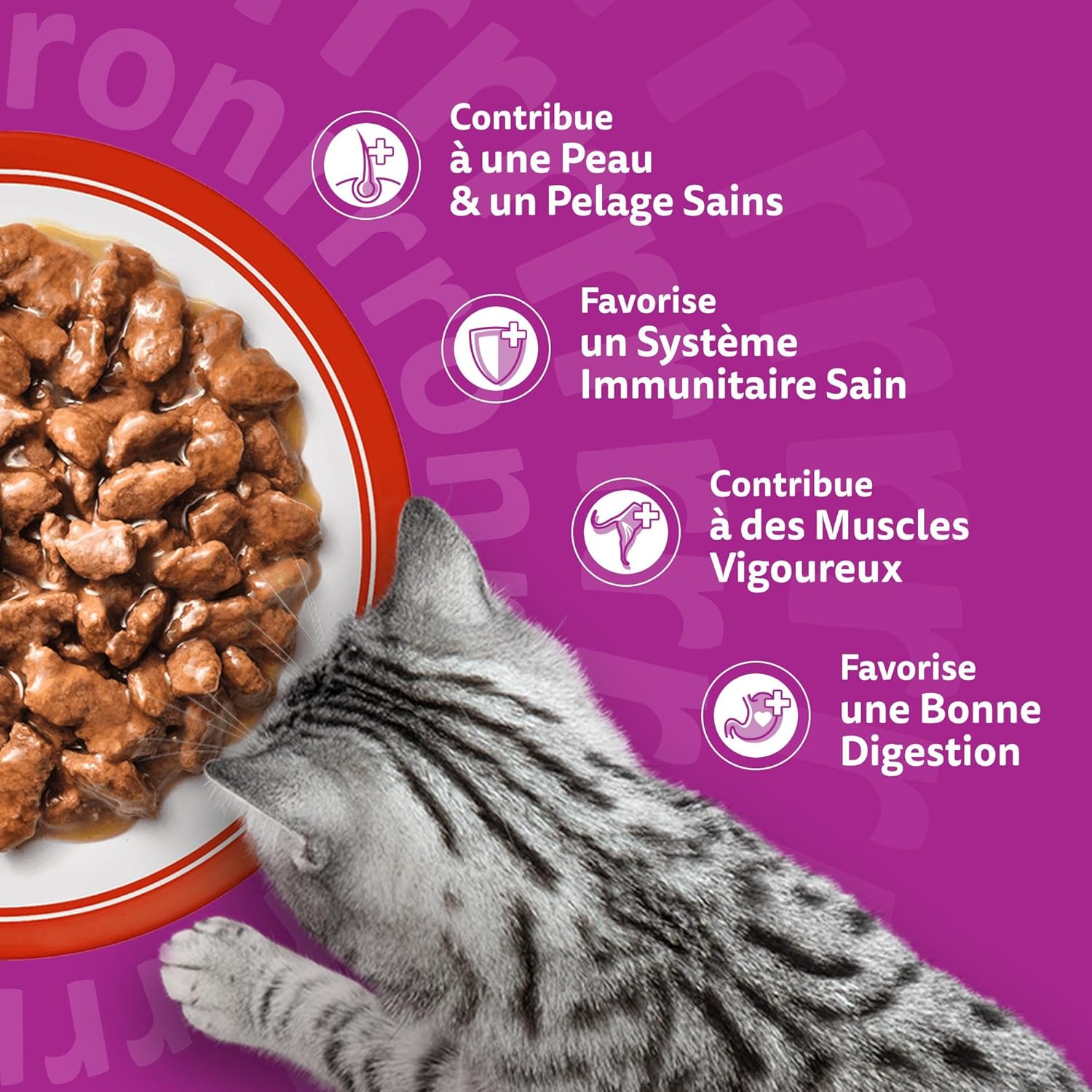 Detalle de WHISKAS Aliment humide en sauce Chat adulte – Les Repas Classiques, 84 x 85 g