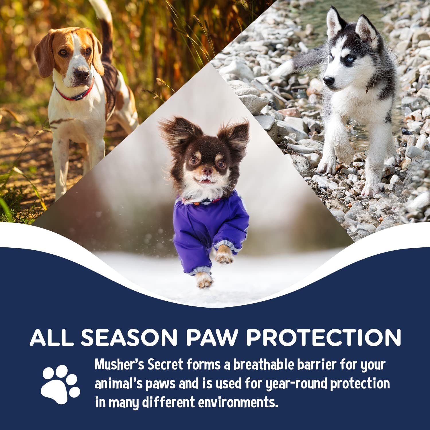 Detalle 2 de Musher's Secret Blue Paw Wax — All-Natural Dog Paw Protection