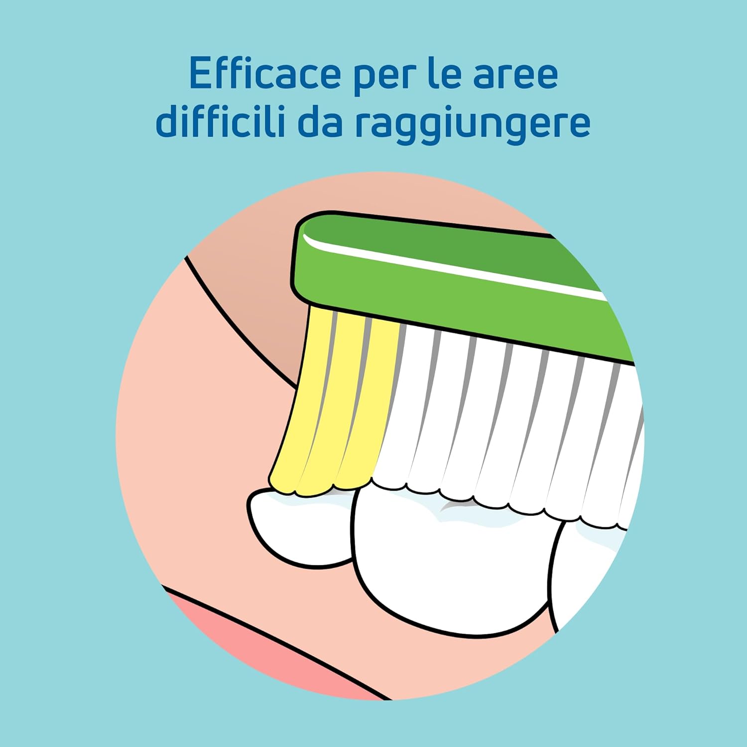 Detalle 2 de TePe Nova Soft: spazzolino con punta allungata per denti posteriori, 3pz