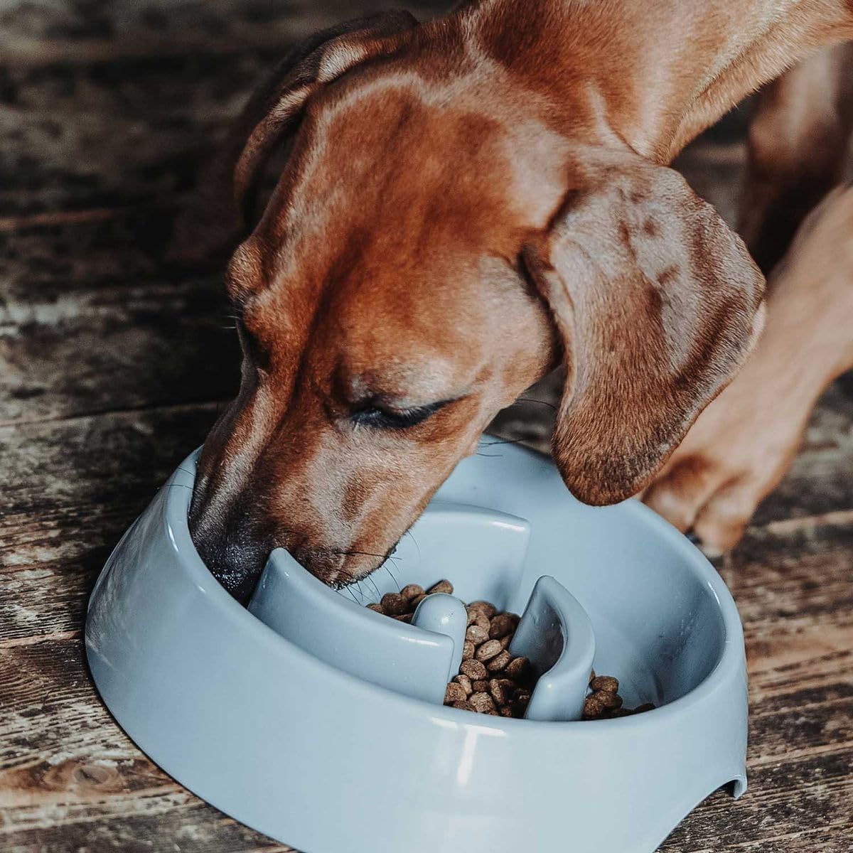 Detalle de HUNTER ATLANTA Anti-Schlingnapf 900 ml – Futternapf gegen schnelles Fressen für Hunde und Katzen