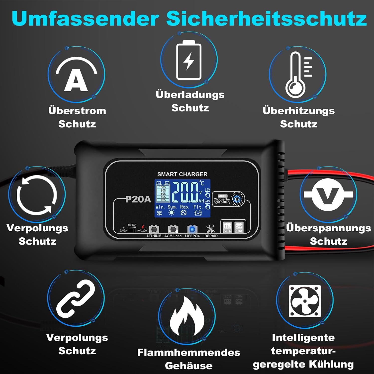 Detalle 2 de 20A Autobatterie Ladegerät 12V/24V