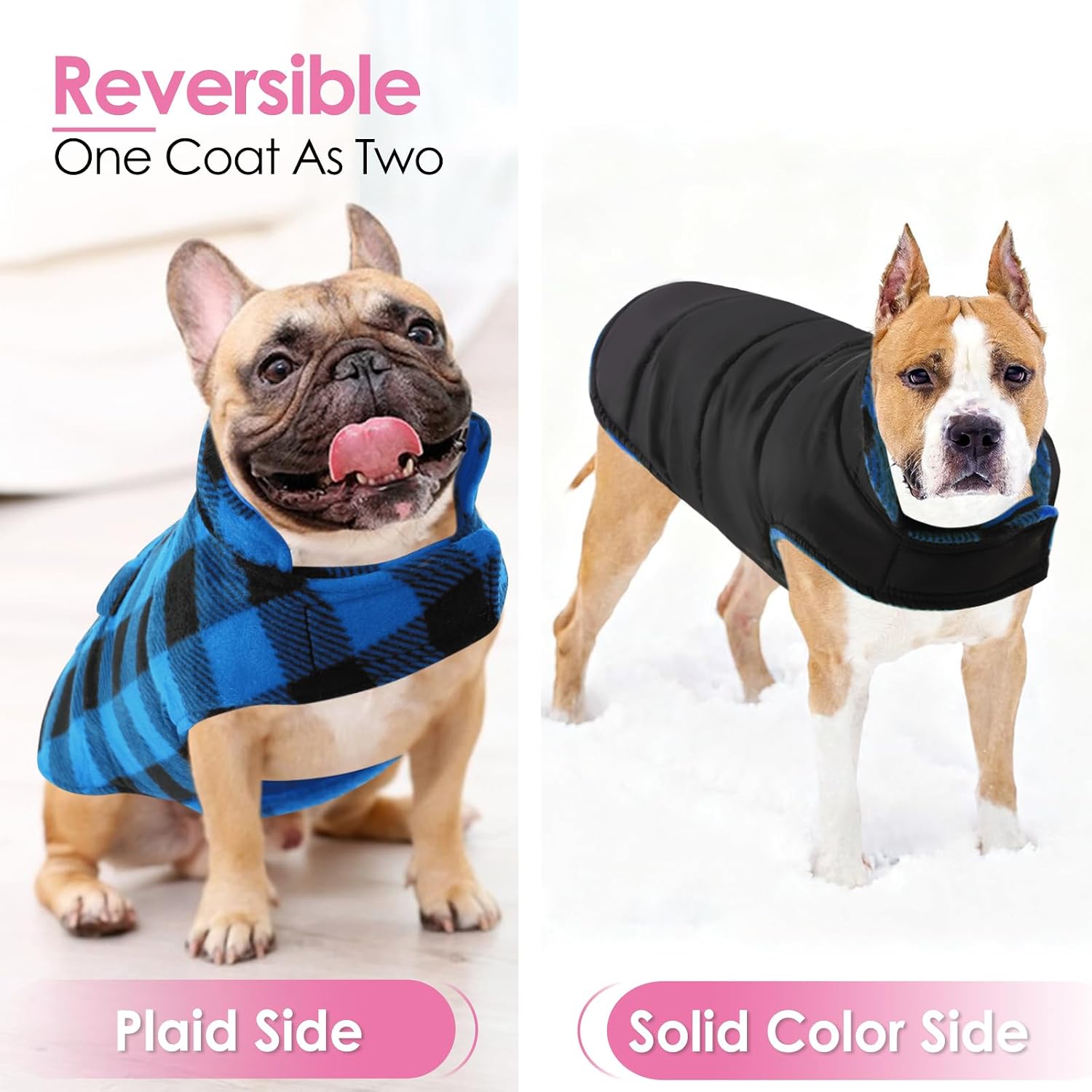 Detalle de AOFITEE Dog Coat XXL