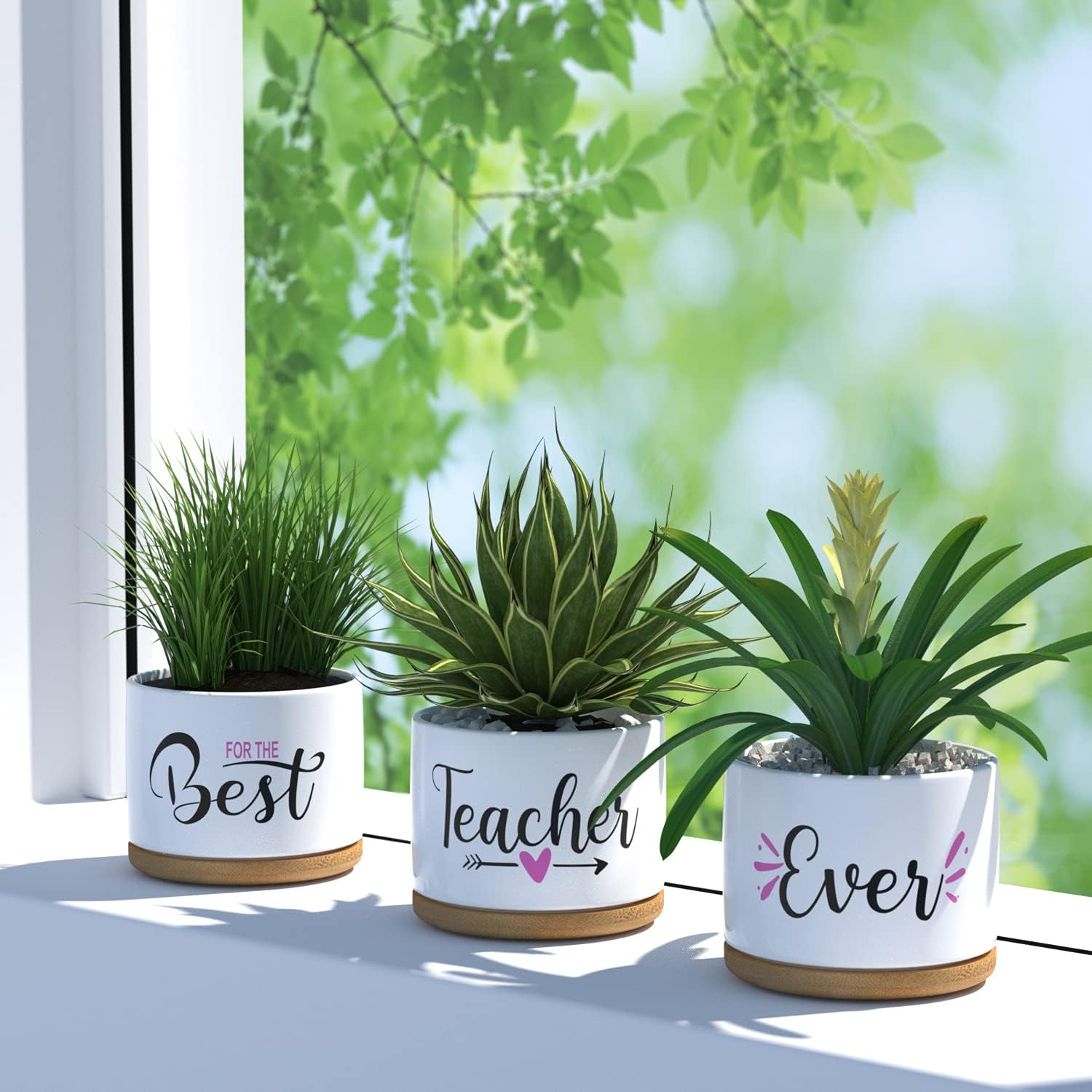 Detalle de Teacher Appreciation Gifts for Women: Best Teacher Ever Ceramic Succulent Pots