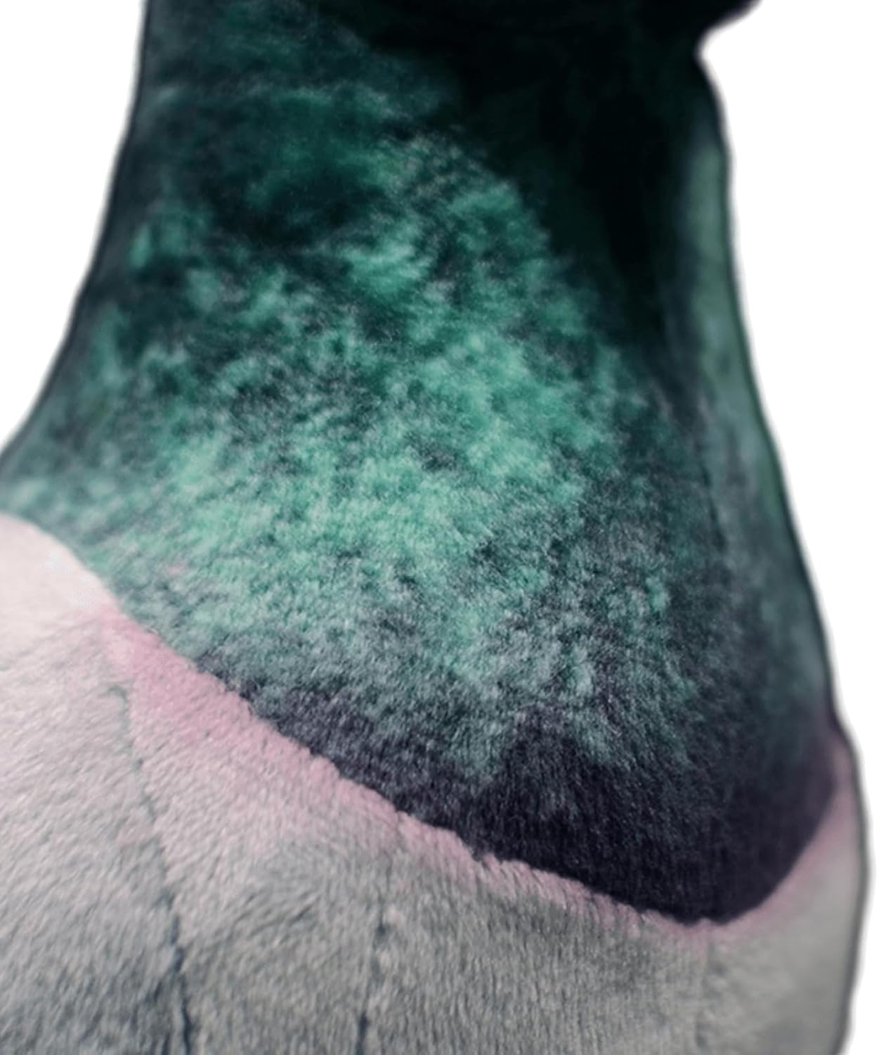 Detalle de lilizzzhoumax Pigeon Plush 9inch: Realistic Rock Dove Stuffed Toy