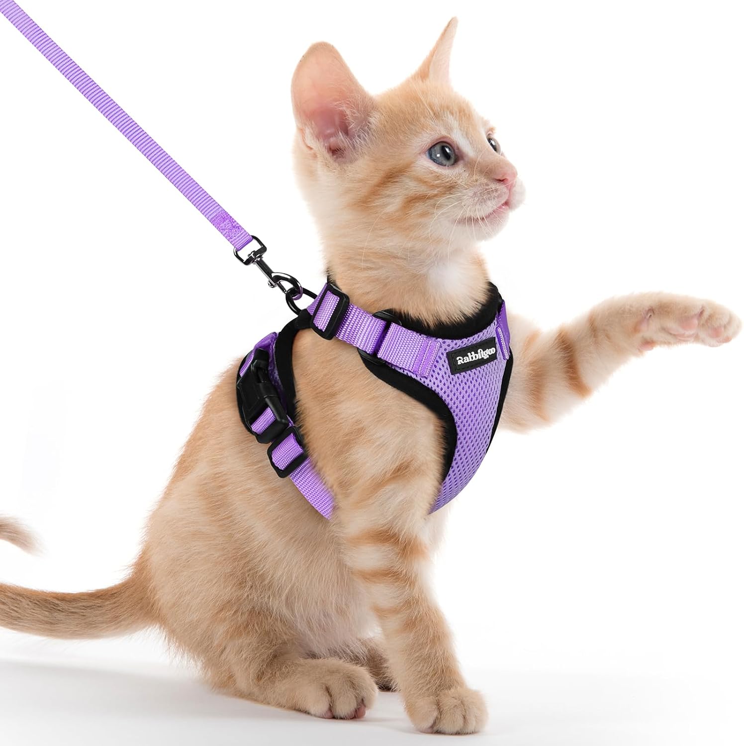 Detalle de rabbitgoo Escape Proof Cat Harness 4.9ft