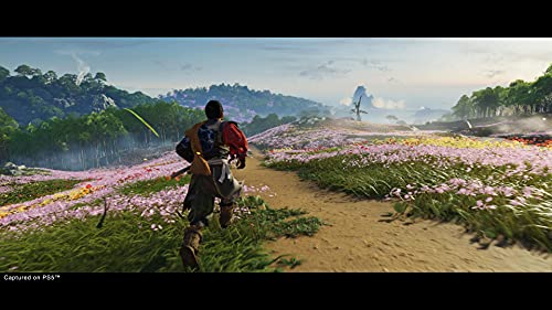 Thumbnail 10 de Ghost of Tsushima Director's Cut PS5 | Aventura Épica en 4 Idiomas