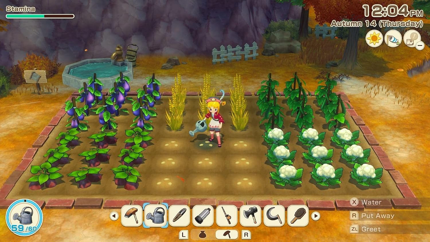 Thumbnail 6 de Story of Seasons: Grand Bazaar — Switch 2