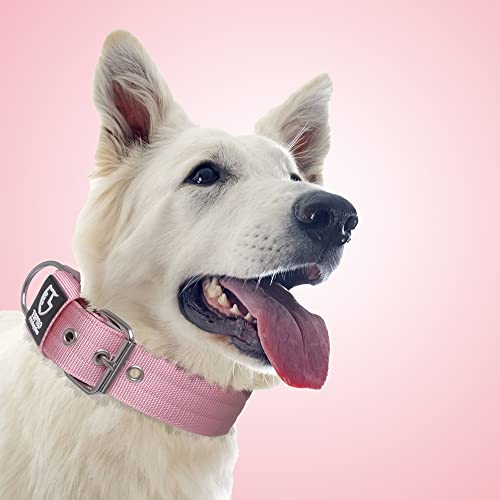 Detalle 2 de TSPRO Collar Táctico 3,8 cm Rosado L 🐕